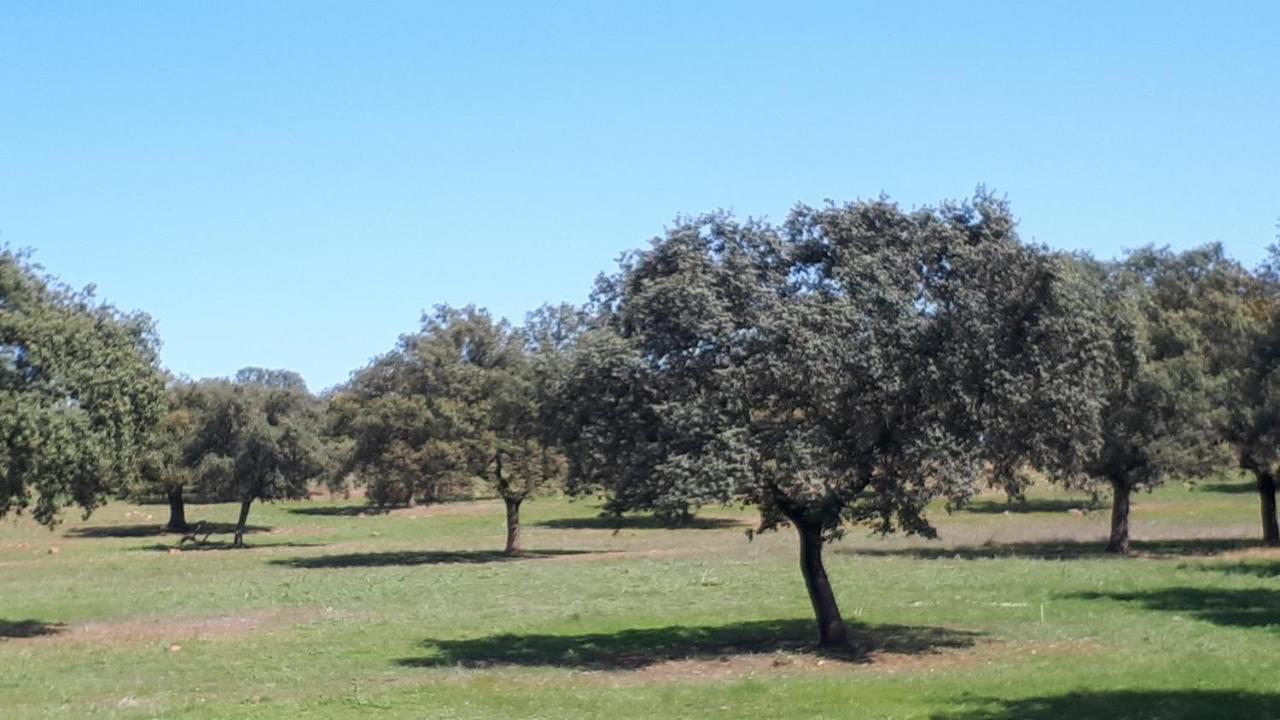 Villa Maria Vilches Dış mekan fotoğraf