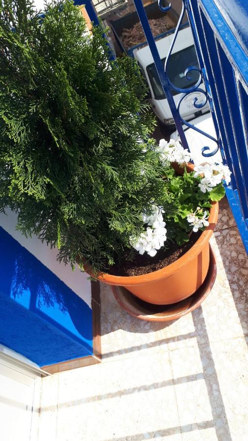 Villa Maria Vilches Dış mekan fotoğraf
